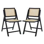 Silla de comedor plegable de ratán nogal/negro/blanco/natural (juego de 2)